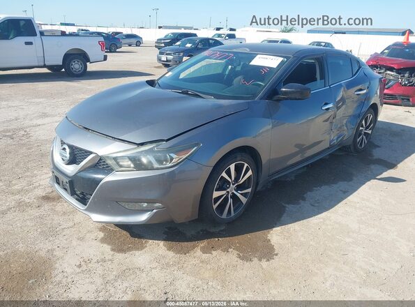 1N4AA6AP0GC423448 2016 NISSAN MAXIMA Gray 
