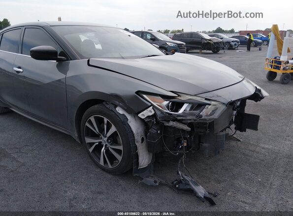 1N4AA6AP1HC454225 2017 NISSAN MAXIMA Gray 