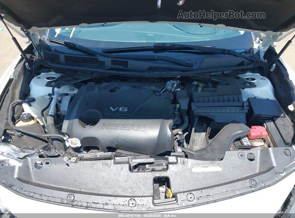 1N4AA6AP2GC422012 2016 NISSAN MAXIMA Белый Вид сзади
