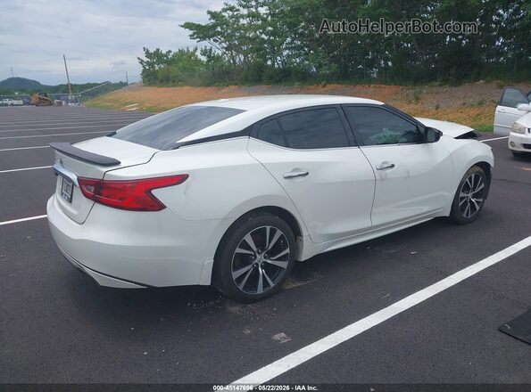 1N4AA6AP2HC449728 2017 NISSAN MAXIMA White Rear right