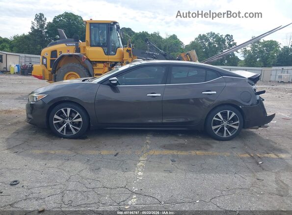 1N4AA6AP3GC392518 2016 NISSAN MAXIMA Коричневый Панорамный вид салона 360°