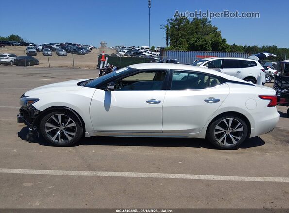 1N4AA6AP3GC421287 2016 NISSAN MAXIMA White 