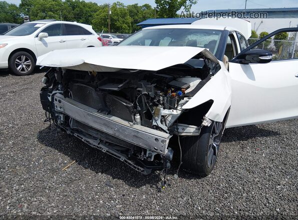 1N4AA6AP3GC436453 2016 NISSAN MAXIMA Белый Вид спереди