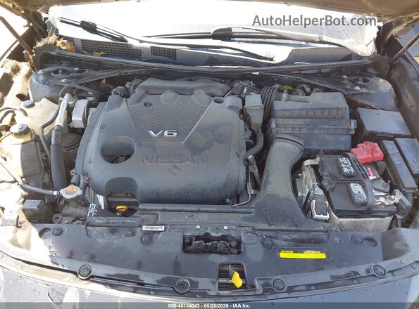 1N4AA6AP3GC447159 2016 NISSAN MAXIMA Black Հետևի տեսք