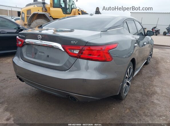 1N4AA6AP3HC390236 2017 NISSAN MAXIMA Gray Tył prawy
