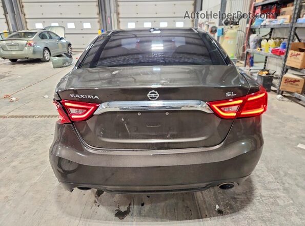 1N4AA6AP5GC446739 2016 NISSAN MAXIMA Gray Հետևի տեսք
