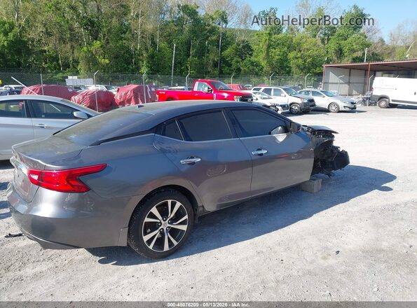 1N4AA6AP5GC901489 2016 NISSAN MAXIMA Gray Հետևի աջ