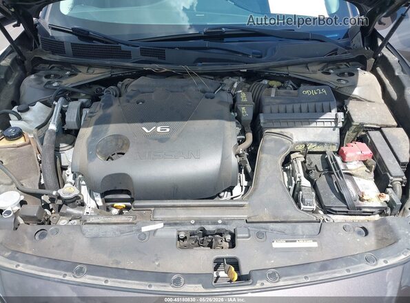 1N4AA6AP6GC419713 2016 NISSAN MAXIMA Gray Widok z tyłu