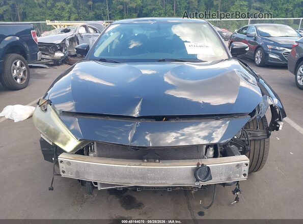 1N4AA6AP6GC441341 2016 NISSAN MAXIMA Серый Вид задней части салона