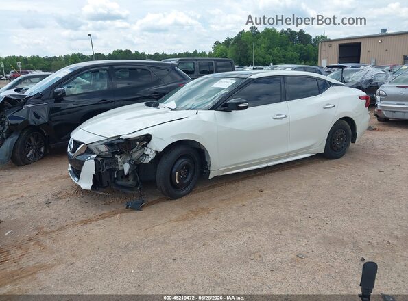 1N4AA6AP6HC433645 2017 NISSAN MAXIMA Белый 