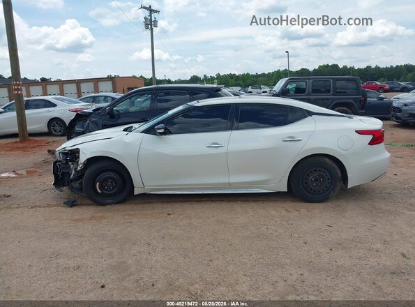 1N4AA6AP6HC433645 2017 NISSAN MAXIMA Белый 
