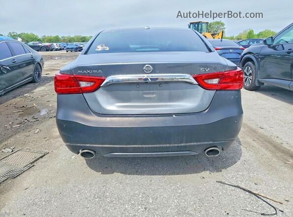 1N4AA6AP6HC445584 2017 NISSAN MAXIMA Gray Widok z tyłu