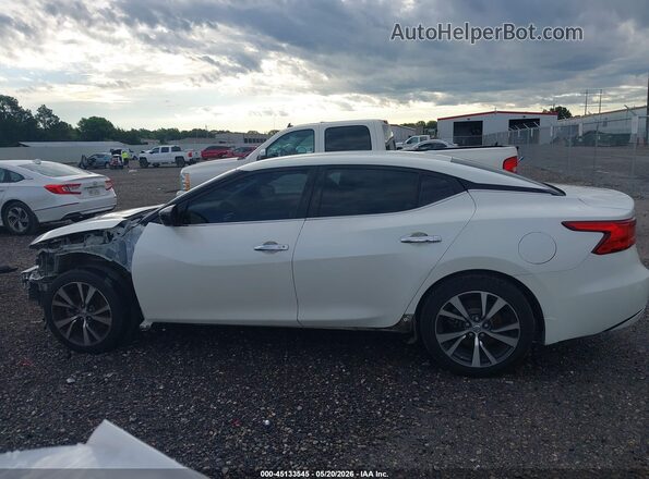 1N4AA6AP8GC388402 2016 NISSAN MAXIMA Белый 
