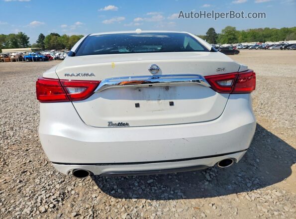 1N4AA6AP8GC392840 2016 NISSAN MAXIMA White Widok z tyłu