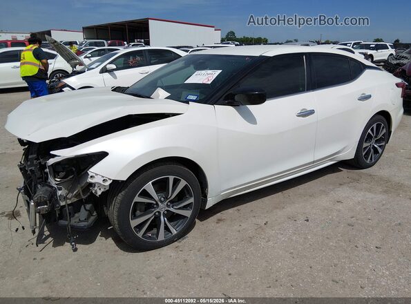1N4AA6AP8GC428431 2016 NISSAN MAXIMA White 