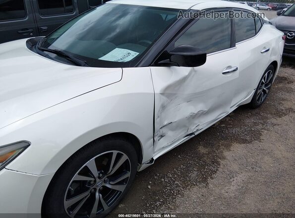 1N4AA6AP9GC423898 2016 NISSAN MAXIMA White Դիմացի տեսք