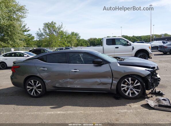 1N4AA6APXGC422453 2016 NISSAN MAXIMA Gray Սալոնի հետևի տեսք