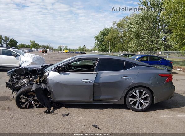 1N4AA6APXGC422453 2016 NISSAN MAXIMA Gray Սալոնի 360 աստիճան տեսք