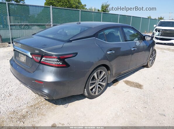 1N4AA6CV7LC366641 2020 NISSAN MAXIMA Gray უკანა მარჯვენა