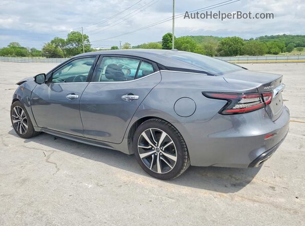 1N4AA6CVXPC511516 2023 NISSAN MAXIMA Gray Задня ліва чверть