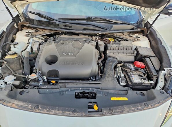 1N4AA6FV0PC507115 2023 NISSAN MAXIMA Белый Вид задней части салона