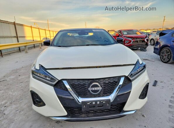 1N4AA6FV0PC507115 2023 NISSAN MAXIMA Белый Вид спереди