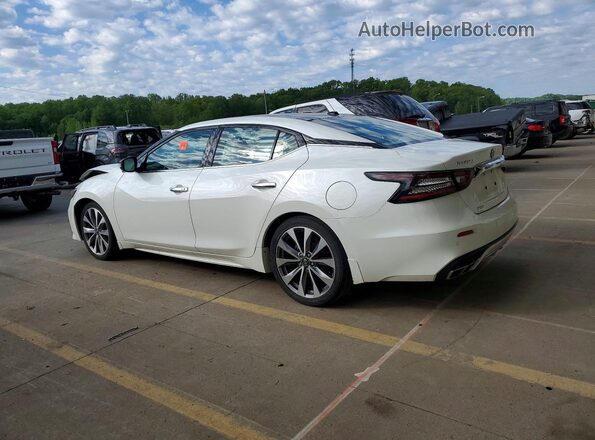 1N4AA6FV5PC503531 2023 NISSAN MAXIMA Белый Задняя левая четверть