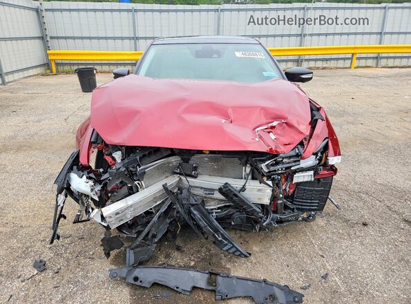 1N4AA6FV6PC503988 2023 NISSAN MAXIMA Red Вид спереду