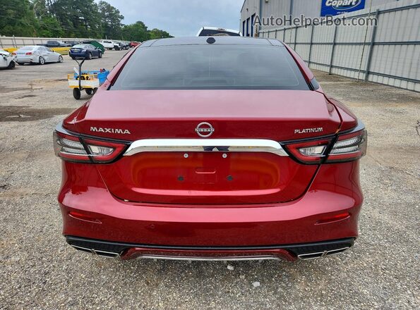 1N4AA6FV6PC503988 2023 NISSAN MAXIMA Red Вид ззаду