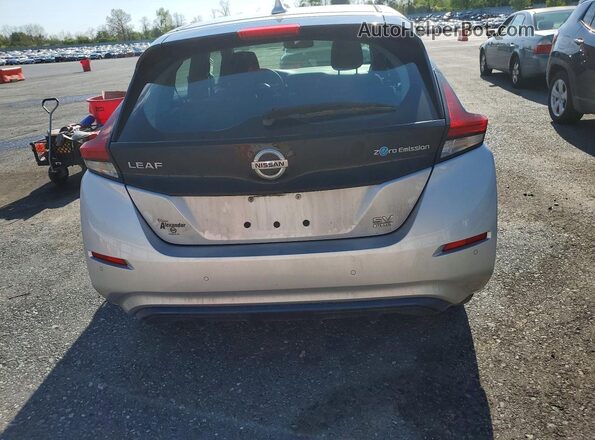 1N4BZ1CP5LC310117 2020 NISSAN LEAF Silver Հետևի տեսք