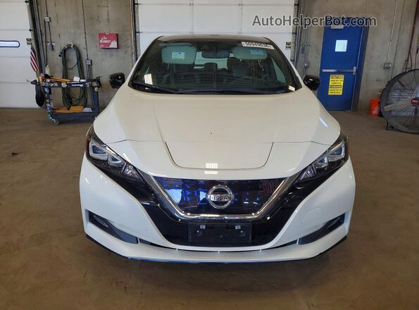 1N4BZ1DP9LC300317 2020 NISSAN LEAF White Front view
