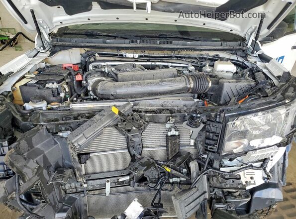 1N6ED1CL6RN660093 2024 NISSAN FRONTIER Белый Вид задней части салона