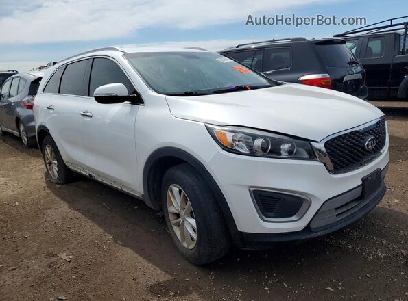 5XYPG4A32HG239825 2017 KIA SORENTO White 