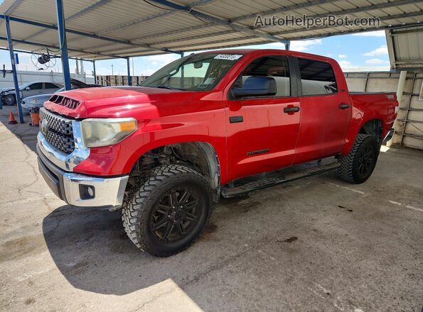 5TFEY5F16KX245780 2019 TOYOTA TUNDRA Red Rear left