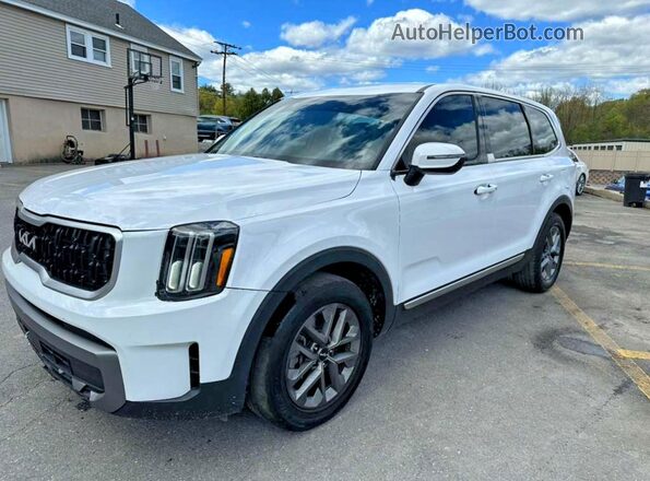 5XYP2DGC8PG353106 2023 KIA TELLURIDE Белый Задняя левая четверть