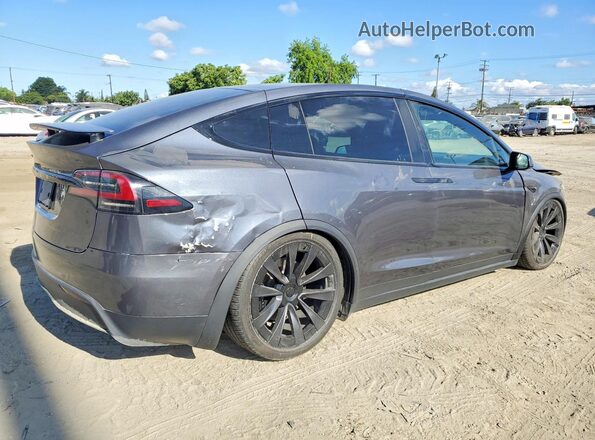 7SAXCAE58PF386925 2023 TESLA MODEL Gray 