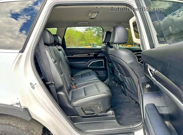 5XYP2DGC8PG353106 2023 KIA TELLURIDE Белый Вид сзади