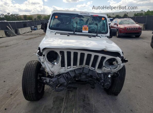 1C6HJTFG3PL522594 2023 JEEP GLADIATOR White Widok z tyłu