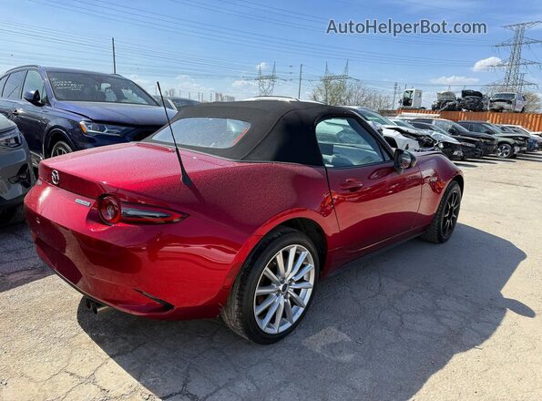 JM1NDAC79R0607083 2024 MAZDA MX-5 Maroon 