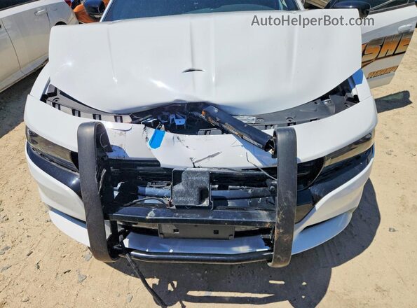 2C3CDXATXPH595145 2023 DODGE CHARGER White Vista interior trasera