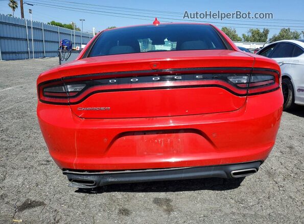 2C3CDXBG2PH593133 2023 DODGE CHARGER Красный Вид сзади