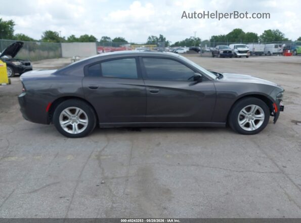 2C3CDXBG9LH117648 2020 DODGE CHARGER Gray Սալոնի հետևի տեսք