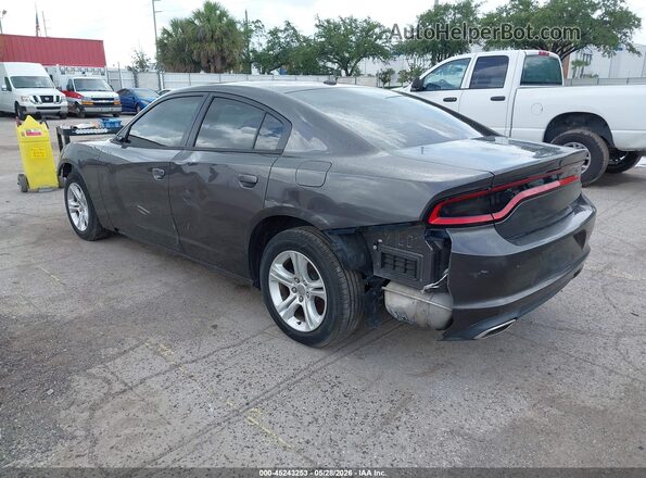 2C3CDXBG9LH117648 2020 DODGE CHARGER Gray Հետևի ձախ