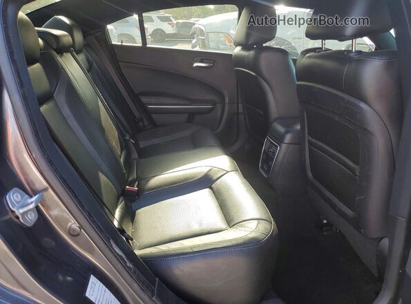 2C3CDXBG9MH628181 2021 DODGE CHARGER Gray უკანა სავარძლების ხედი