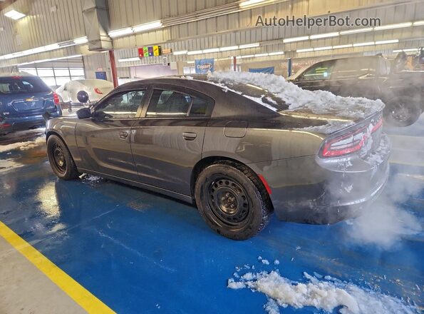 2C3CDXKT5LH209160 2020 DODGE CHARGER Gray Задня ліва чверть