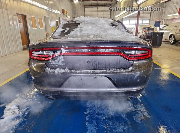 2C3CDXKT5LH209160 2020 DODGE CHARGER Gray Вид ззаду