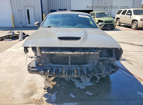 2C3CDZBTXKH652379 2019 DODGE CHALLENGER Gray Widok z przodu