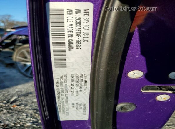 2C3CDZBTXPH668587 2023 DODGE CHALLENGER Purple VIN კოდის სტიკერის ხედი