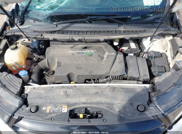 2FMPK4AP4GBC50356 2016 FORD EDGE Белый Вид сзади