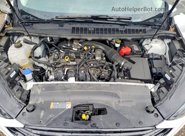 2FMPK4G99RBB23842 2024 FORD EDGE White Widok komory silnika